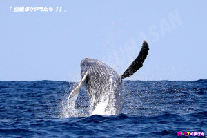 空跳ぶクジラたち11